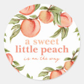 Sweet Peach Baby Dusche Rundgeschenke Geschenkarti Runder Aufkleber (Vorderseite)