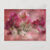Sweet Peas Postcard Postkarte (Vorderseite)