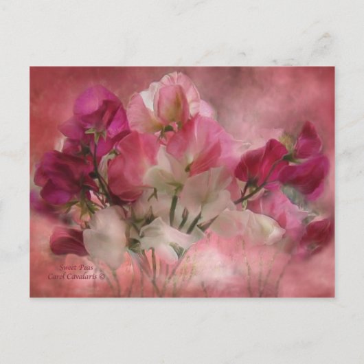 Sweet Peas Postcard Postkarte (Vorderseite)