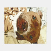Sweet Pibble Face Fleecedecke (Vorderseite (Horizontal))