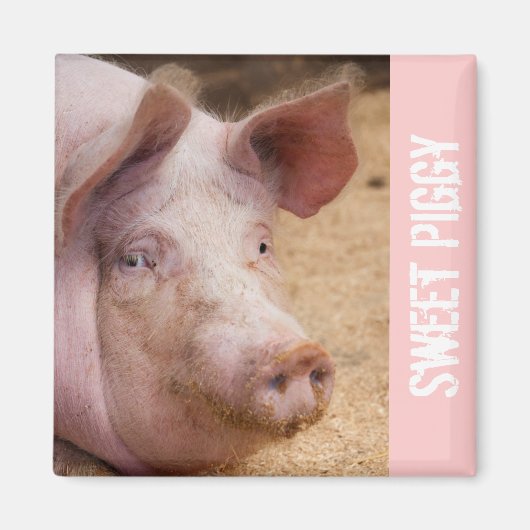 Sweet Piggy Magnet (Vorne)