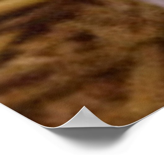 sweet piglet poster (Ecke)