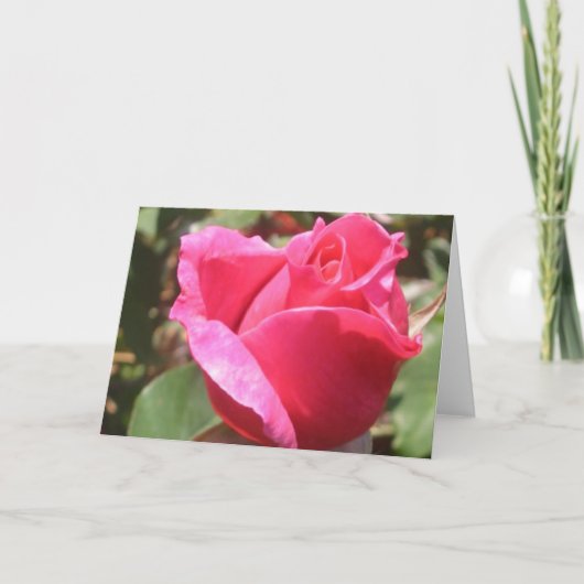 Sweet Pink Rose Bud Blume Gruß oder Mitteilungskar Karte (Vorderseite)