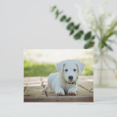 Sweet Puppy mit Ihrem Text Postkarte (Stehend Vorderseite)