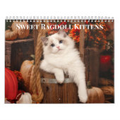Sweet Ragdoll Kittens Calendar Kalender (Titelbild)