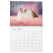 Sweet Ragdoll Kittens Calendar Kalender (Jan 2027)