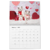 Sweet Ragdoll Kittens Calendar Kalender (Feb 2027)