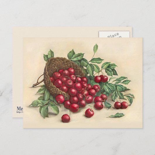 Sweet Red Cherries Postkarte (Vorne/Hinten)