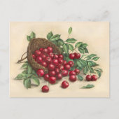 Sweet Red Cherries Postkarte (Vorderseite)