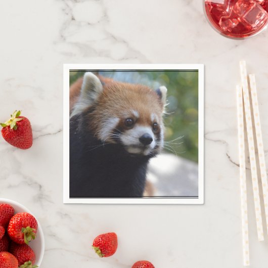 Sweet Red Panda Bear Serviette (Beispiel)