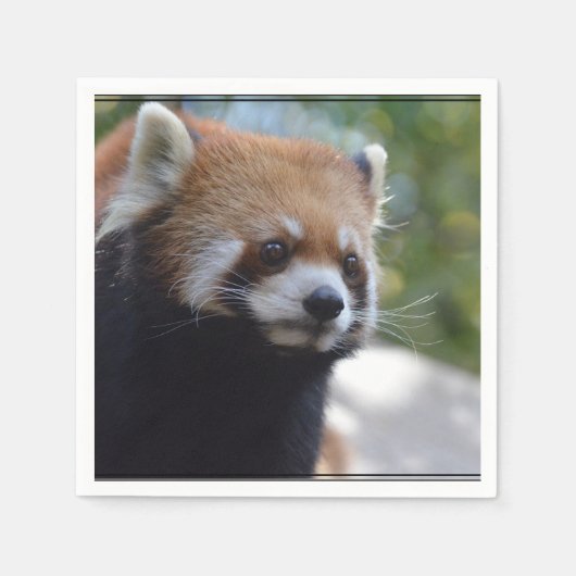 Sweet Red Panda Bear Serviette (Vorderseite)