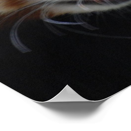 Sweet Red Panda Poster (Ecke)