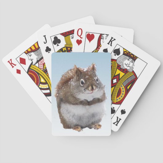 Sweet Red Squirrel Playing Cards Spielkarten (Rückseite)