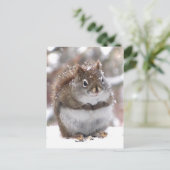 Sweet Red Squirrel Postkarte (Stehend Vorderseite)