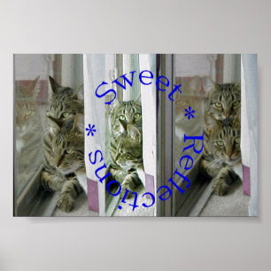 Sweet Reflections Poster