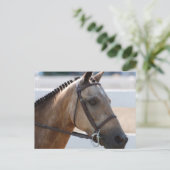 Sweet Roan Pony Postkarte (Stehend Vorderseite)