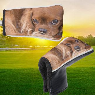 Sweet Ruby Cavalier King Charles Spaniel Golf Headcover