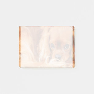 Sweet Ruby Cavalier King Charles Spaniel Post-it Klebezettel