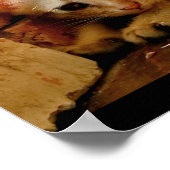 Sweet Sad Kitten Poster (Ecke)