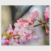 Sweet Sakura Blume im Springtime Geschenkpapier (Flach)