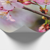 Sweet Sakura Blume im Springtime Geschenkpapier (Ecke)