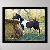 Sweet Samara Poster (Vorne)