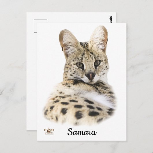 Sweet Samara Postkarte (Vorne/Hinten)