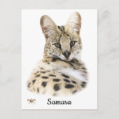 Sweet Samara Postkarte (Vorderseite)