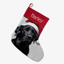 Sweet Santa Black Labrador