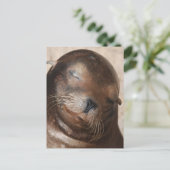 Sweet Sea Lion Postcard Postkarte (Stehend Vorderseite)