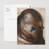 Sweet Sea Lion Postcard Postkarte (Vorne/Hinten)