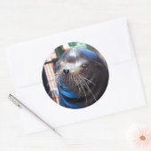 Sweet Sea Lion Runder Aufkleber (Umschlag)