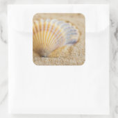 Sweet Seashell Quadratischer Aufkleber (Tasche)
