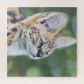Sweet Serval Puzzle (Horizontal)