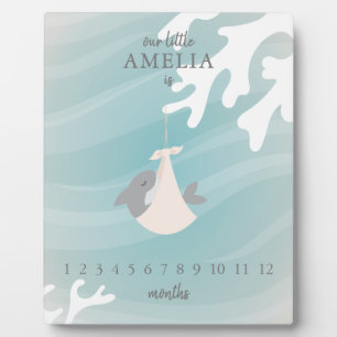 Sweet Shark Baby Milestone Fotoplatte