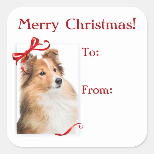 Sweet Sheltie Weihnachtsgeschenke Stickers (Vorderseite)