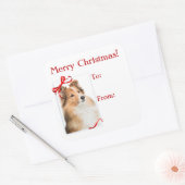 Sweet Sheltie Weihnachtsgeschenke Stickers (Umschlag)