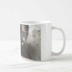 Sweet Shy Tortoiseshell Baby Kaffeetasse