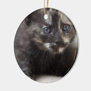 Sweet Shy Tortoiseshell Baby Keramikornament