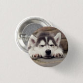 Sweet Siberian Husky Puppy Button (Vorne & Hinten)