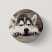 Sweet Siberian Husky Puppy Button (Vorderseite)