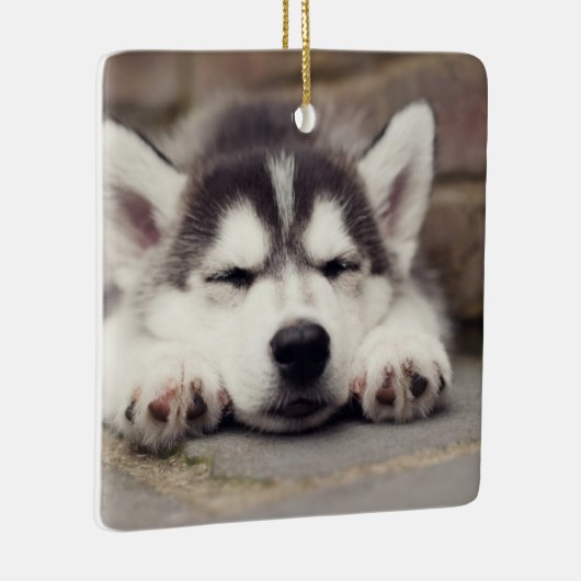Sweet Siberian Husky Puppy Keramikornament (Rechts)