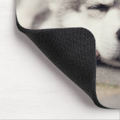 Sweet Siberian Husky Puppy Mousepad (Ecke)