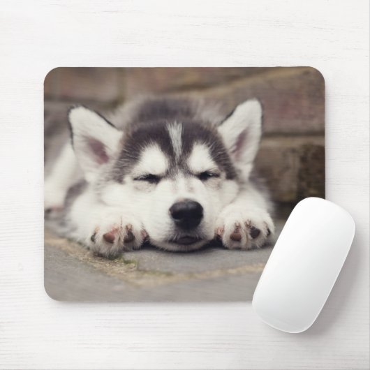 Sweet Siberian Husky Puppy Mousepad (Mit Mouse)