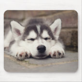 Sweet Siberian Husky Puppy Mousepad (Vorne)