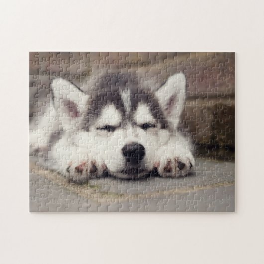 Sweet Siberian Husky Puppy Puzzle (Horizontal)