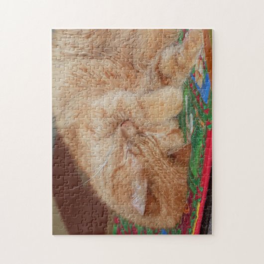 Sweet Sleeping Ginger Boy Puzzle (Vertikal)
