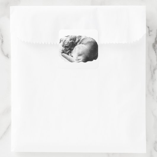 Sweet Slumber Quadratischer Aufkleber (Tasche)