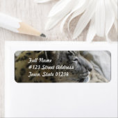 Sweet Snow Leopard (Insitu)