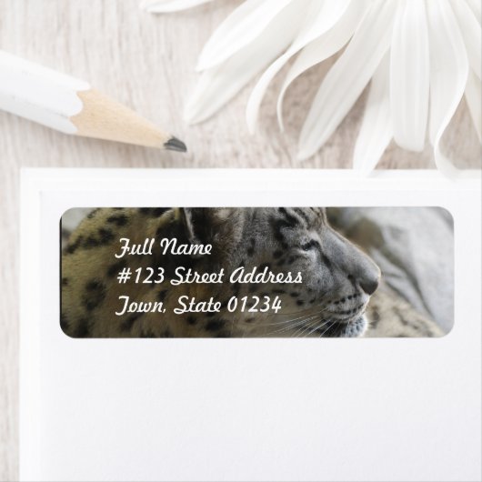 Sweet Snow Leopard (Insitu)